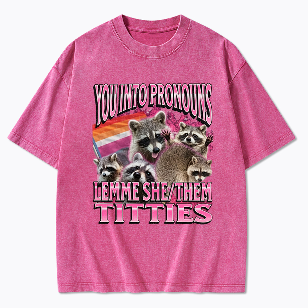You Into Pronouns Funny Raccoon Meme Washed T-Shirt