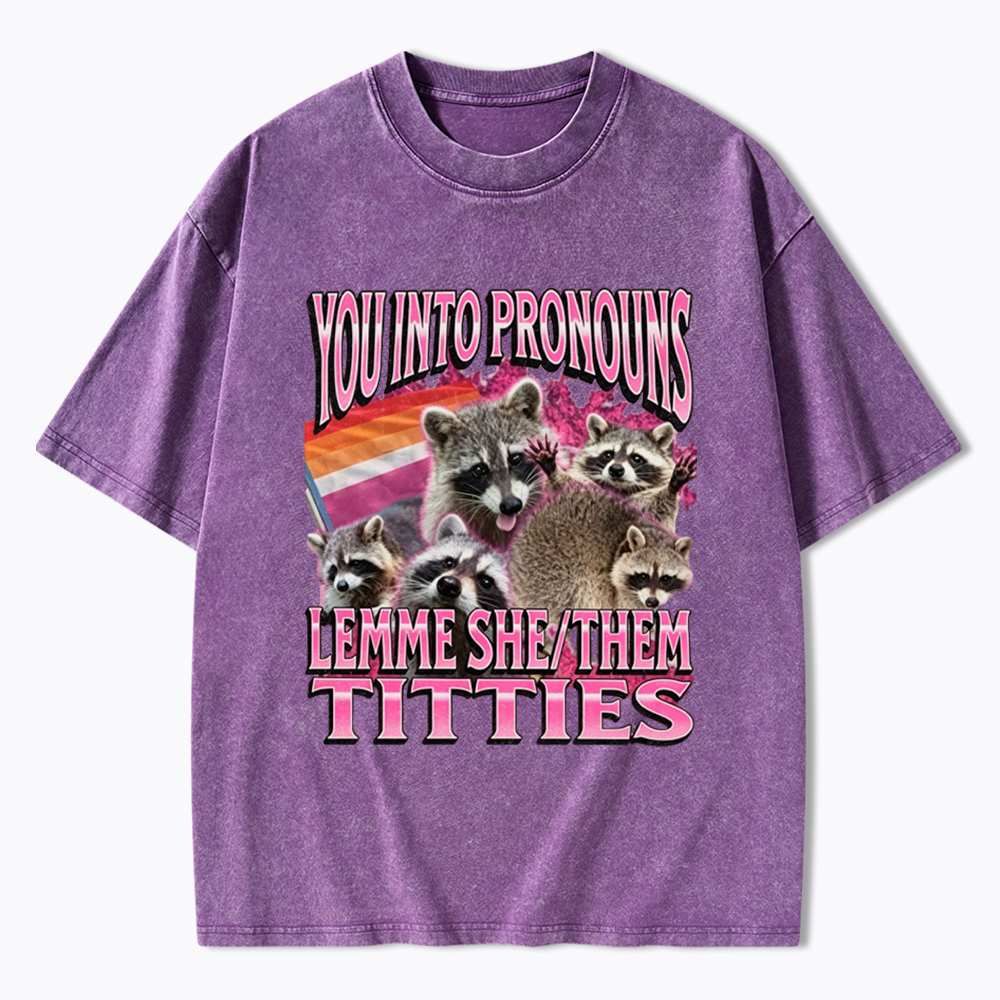 You Into Pronouns Funny Raccoon Meme Washed T-Shirt