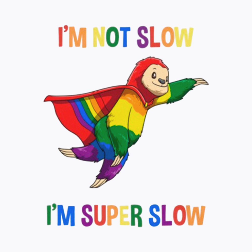 Funny Super Slow and Super Gay Washed T-Shirt