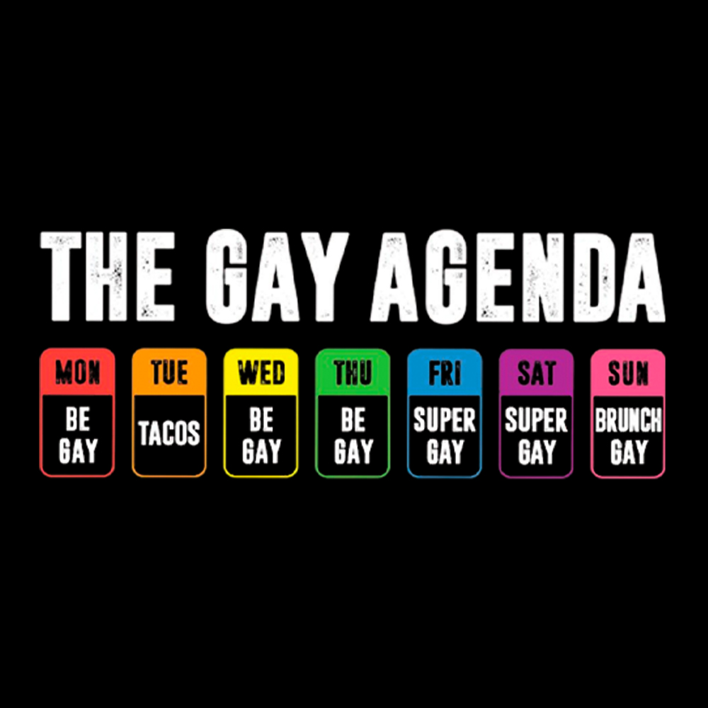 The Gay Agenda Washed T-Shirt