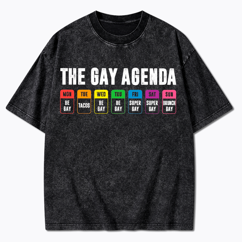 The Gay Agenda Washed T-Shirt