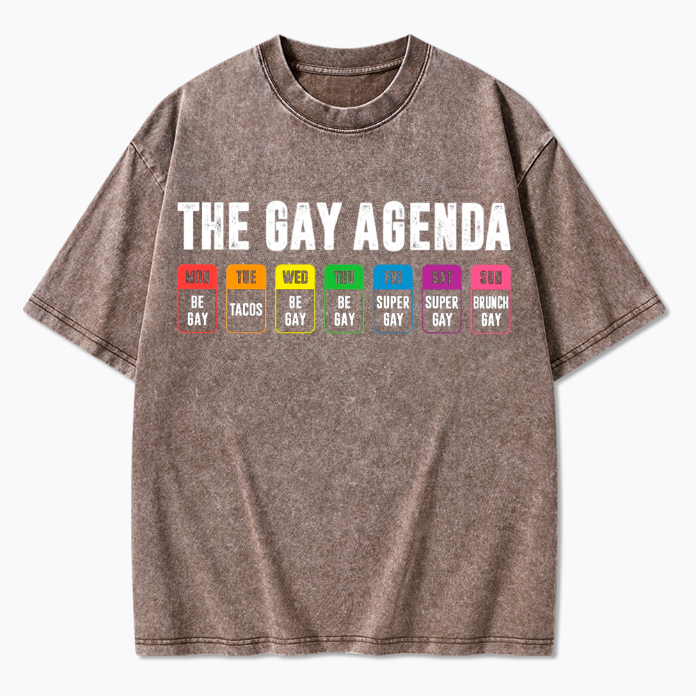 The Gay Agenda Washed T-Shirt
