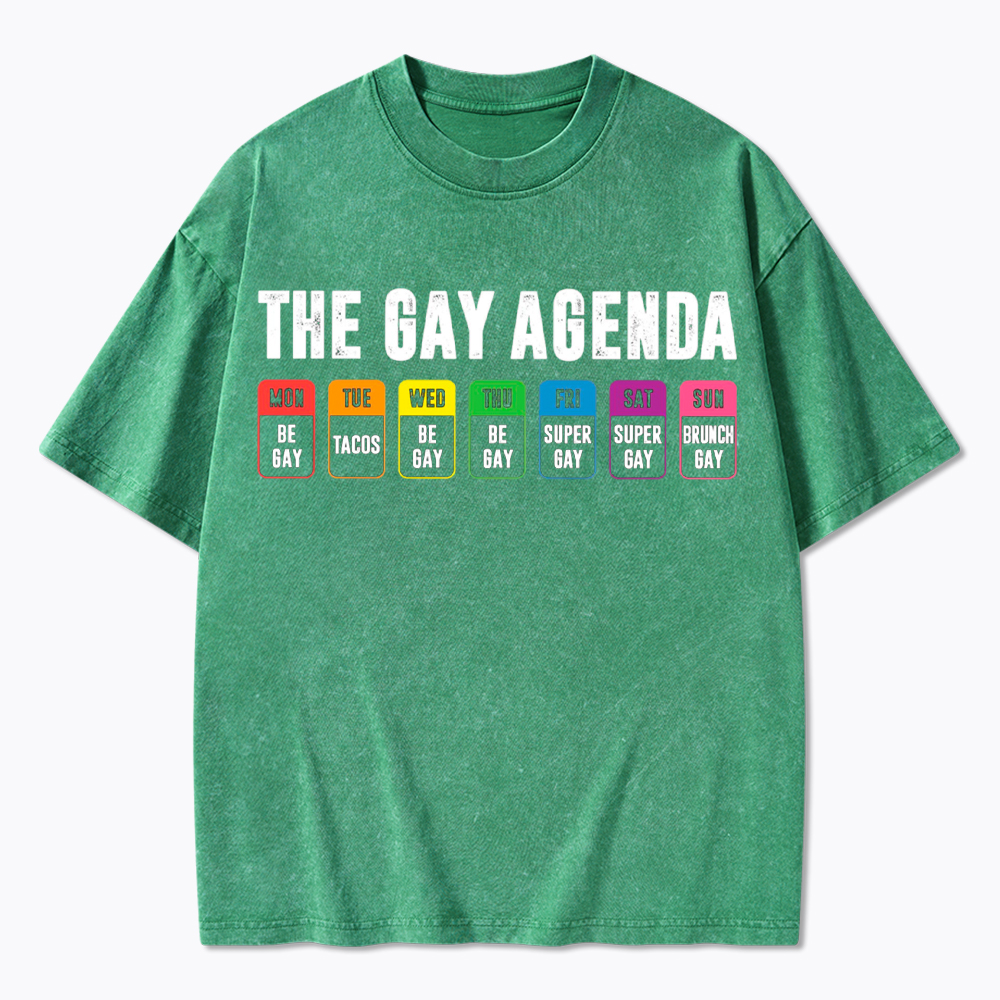 The Gay Agenda Washed T-Shirt