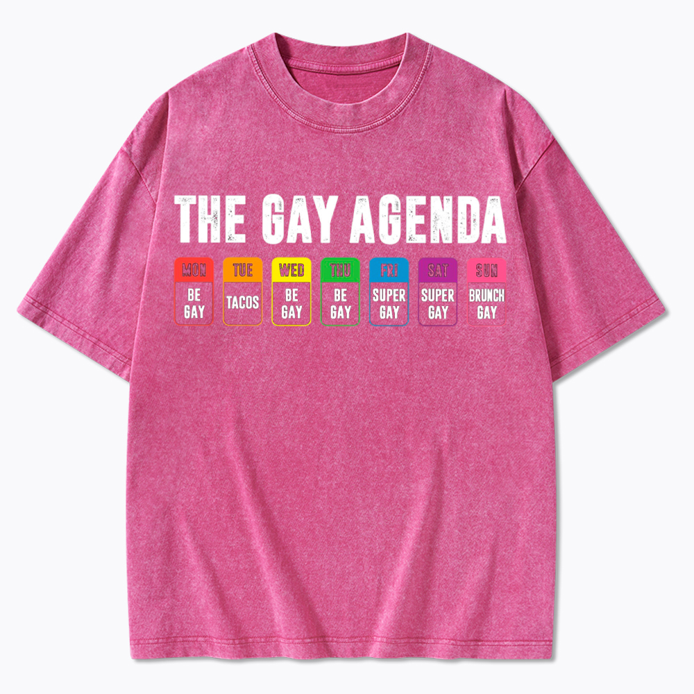 The Gay Agenda Washed T-Shirt