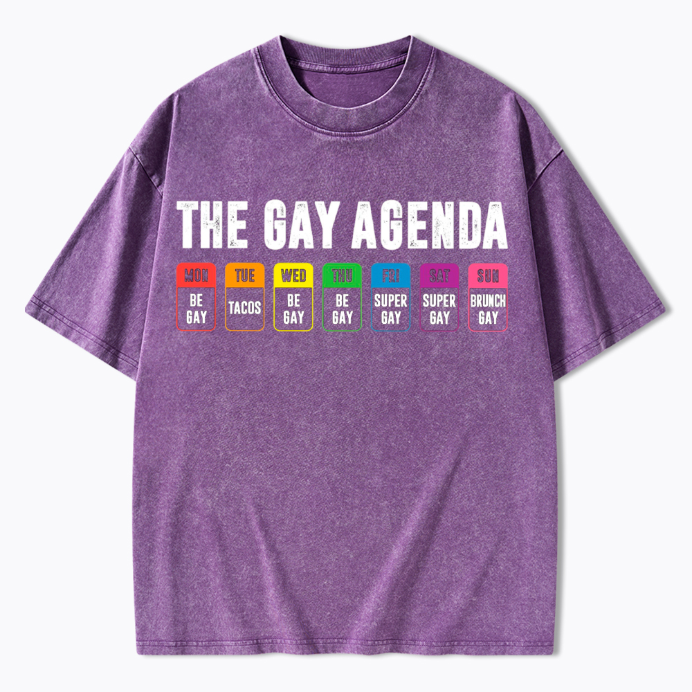 The Gay Agenda Washed T-Shirt