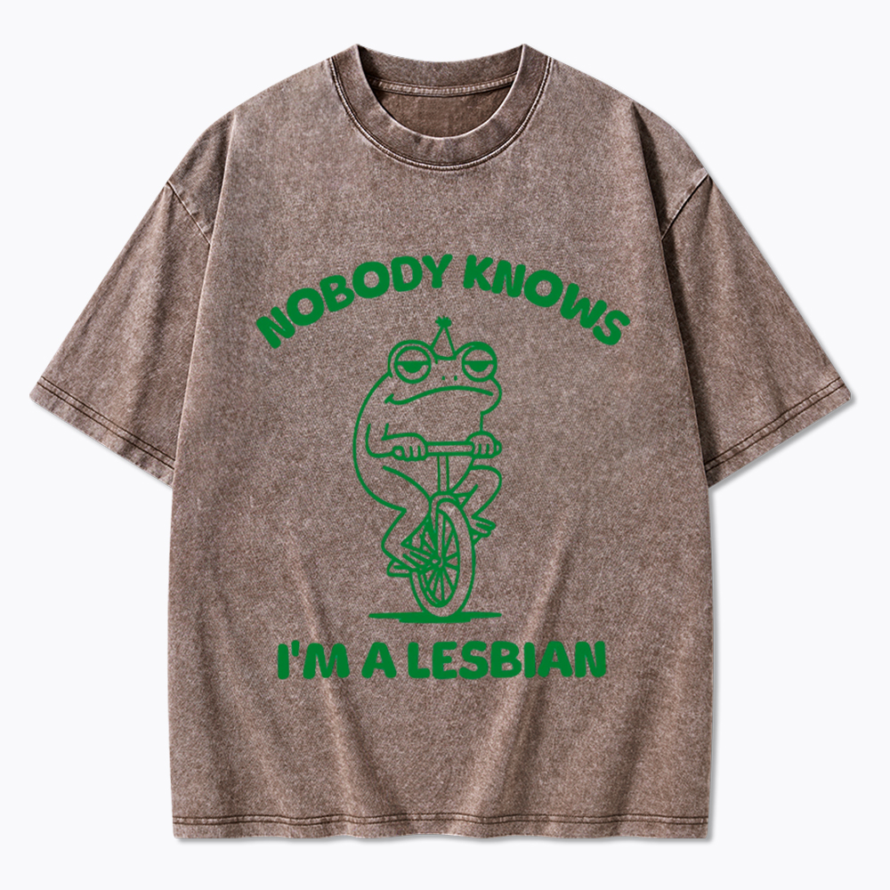 Nobody Knows I'm a Lesbian Frog Washed T-Shirt