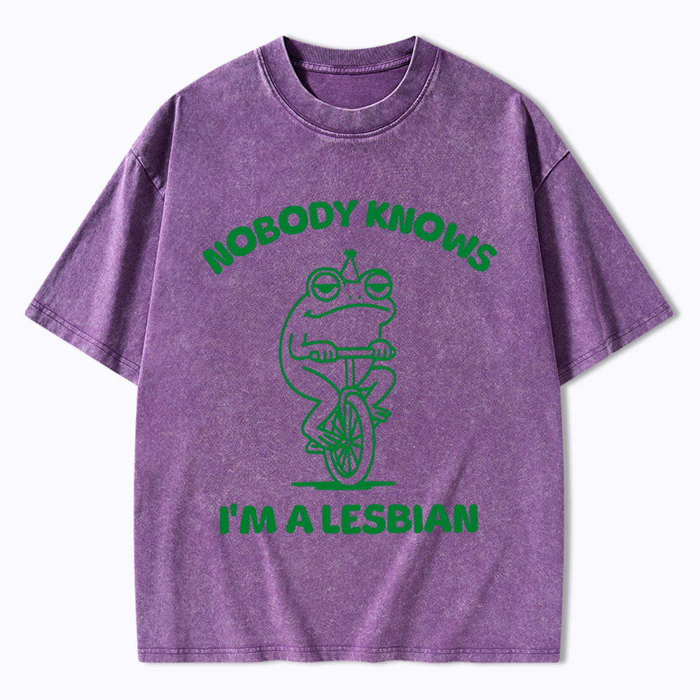 Nobody Knows I'm a Lesbian Frog Washed T-Shirt