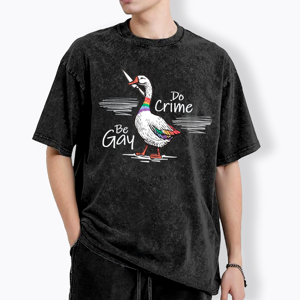 Be Gay Do Crime Goose Washed T-Shirt