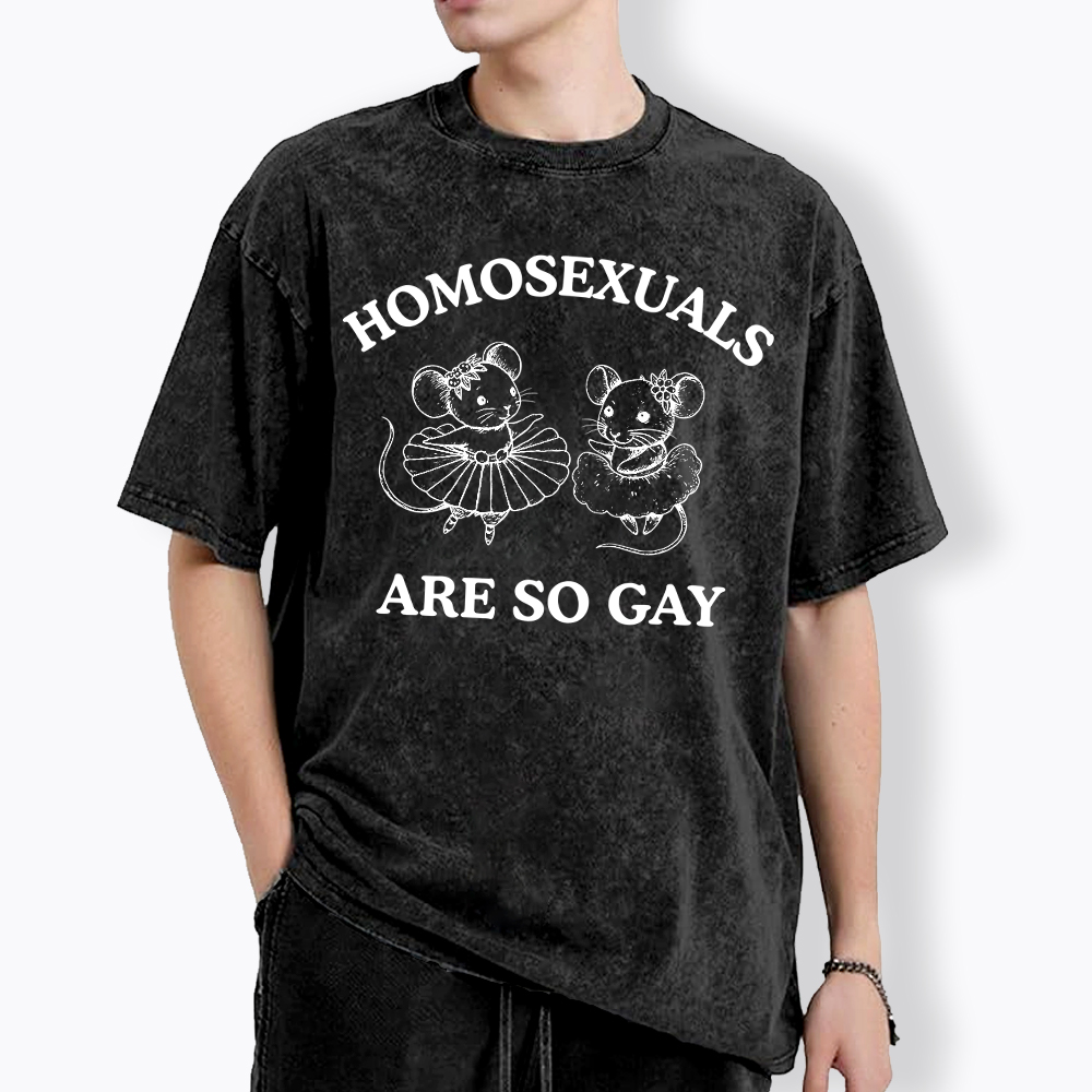 Mouse Mice Sounds Gay Im In Washed T-Shirt