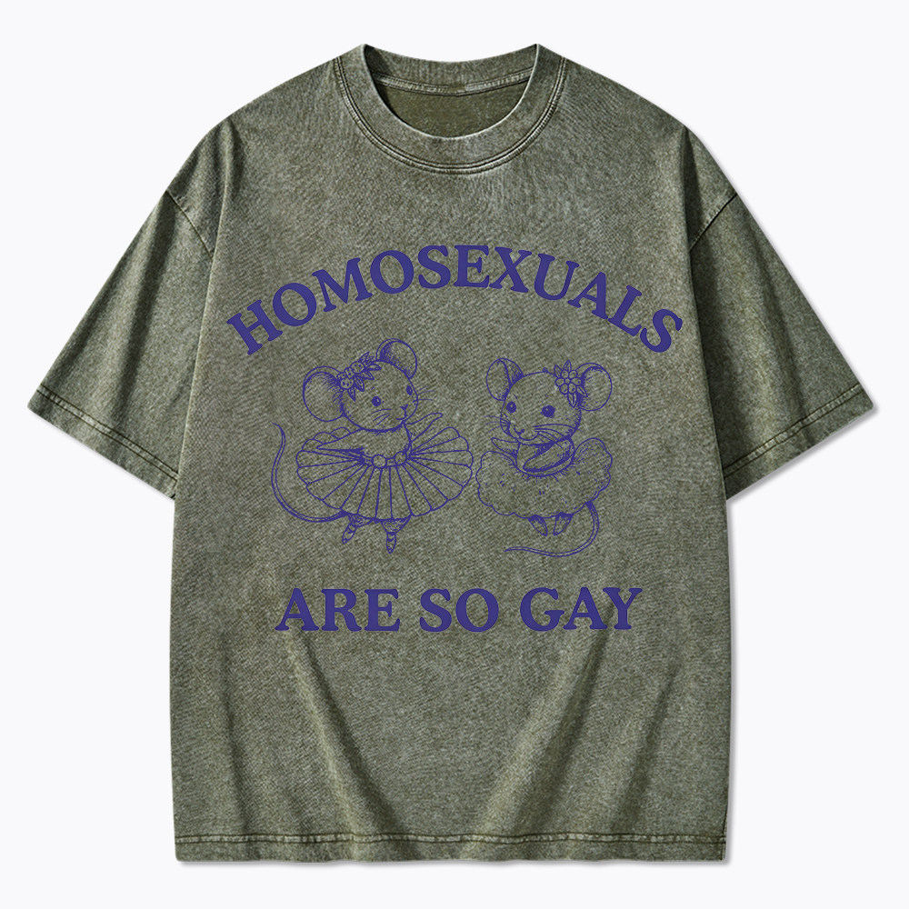 Mouse Mice Sounds Gay Im In Washed T-Shirt