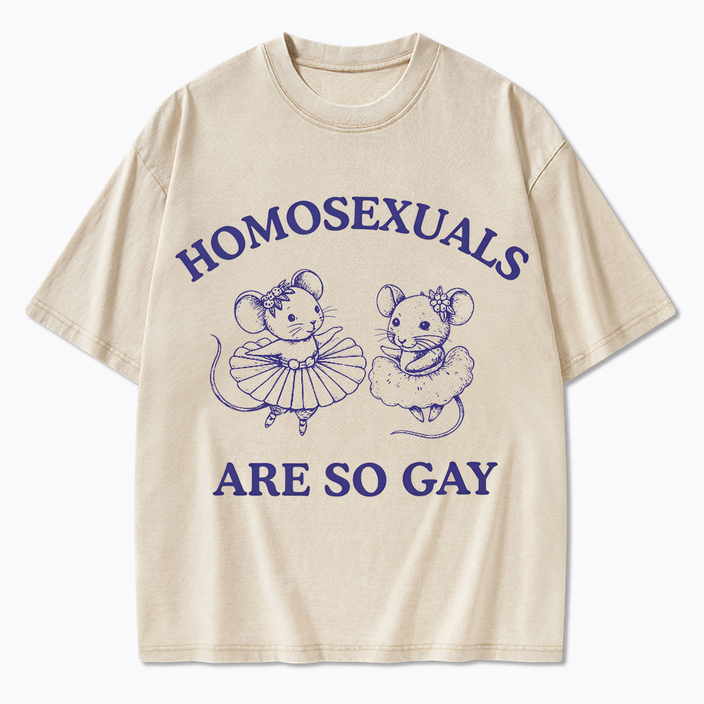 Mouse Mice Sounds Gay Im In Washed T-Shirt