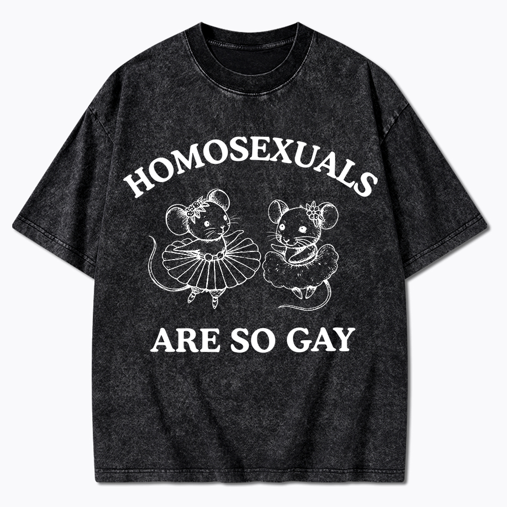 Mouse Mice Sounds Gay Im In Washed T-Shirt
