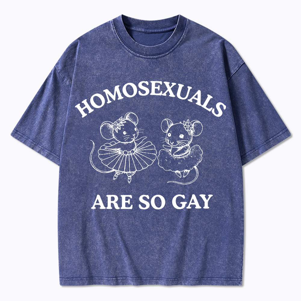Mouse Mice Sounds Gay Im In Washed T-Shirt
