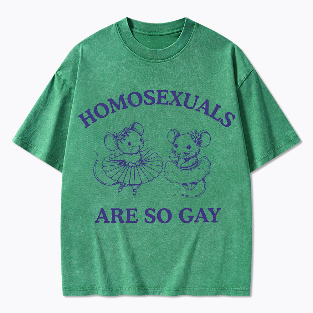 Mouse Mice Sounds Gay Im In Washed T-Shirt