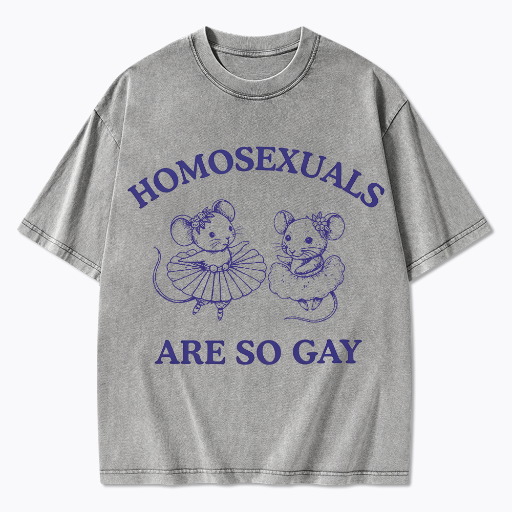 Mouse Mice Sounds Gay Im In Washed T-Shirt