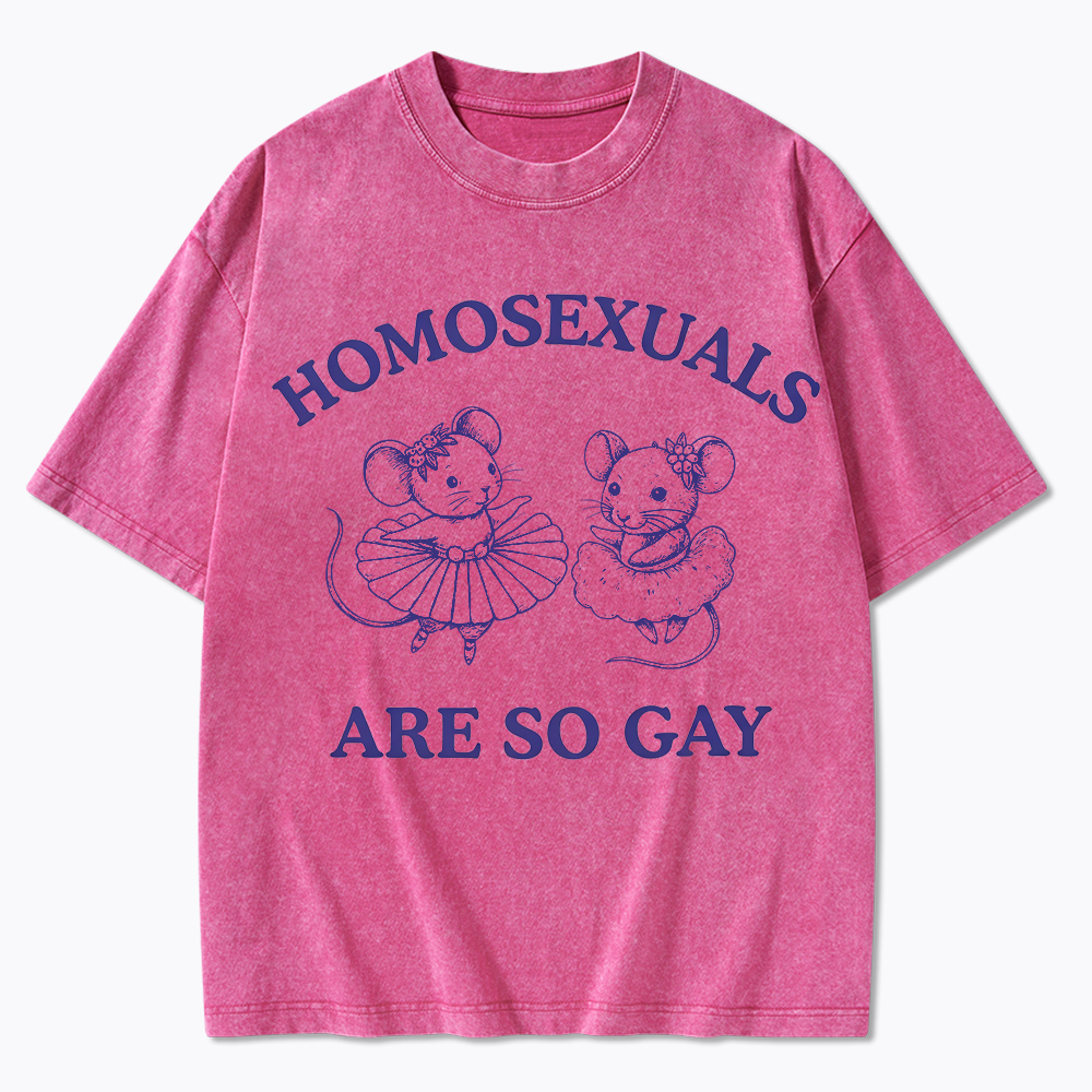 Mouse Mice Sounds Gay Im In Washed T-Shirt