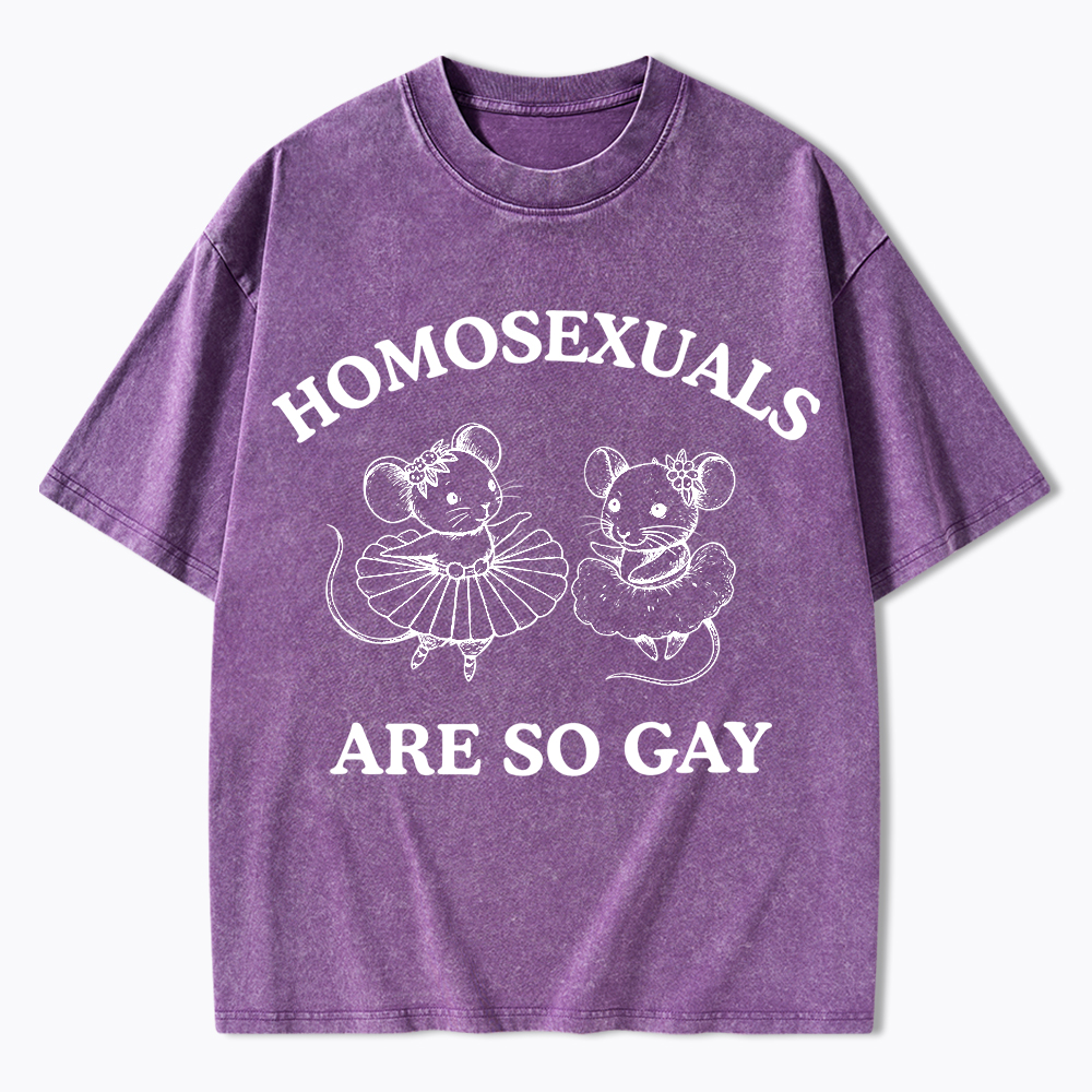 Mouse Mice Sounds Gay Im In Washed T-Shirt