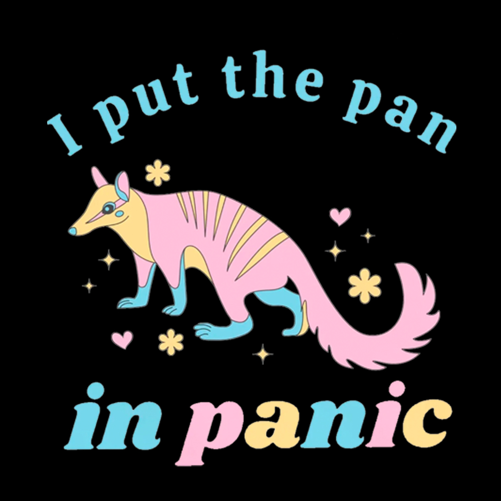 I Put The Pan in Panic Washed T-Shirt