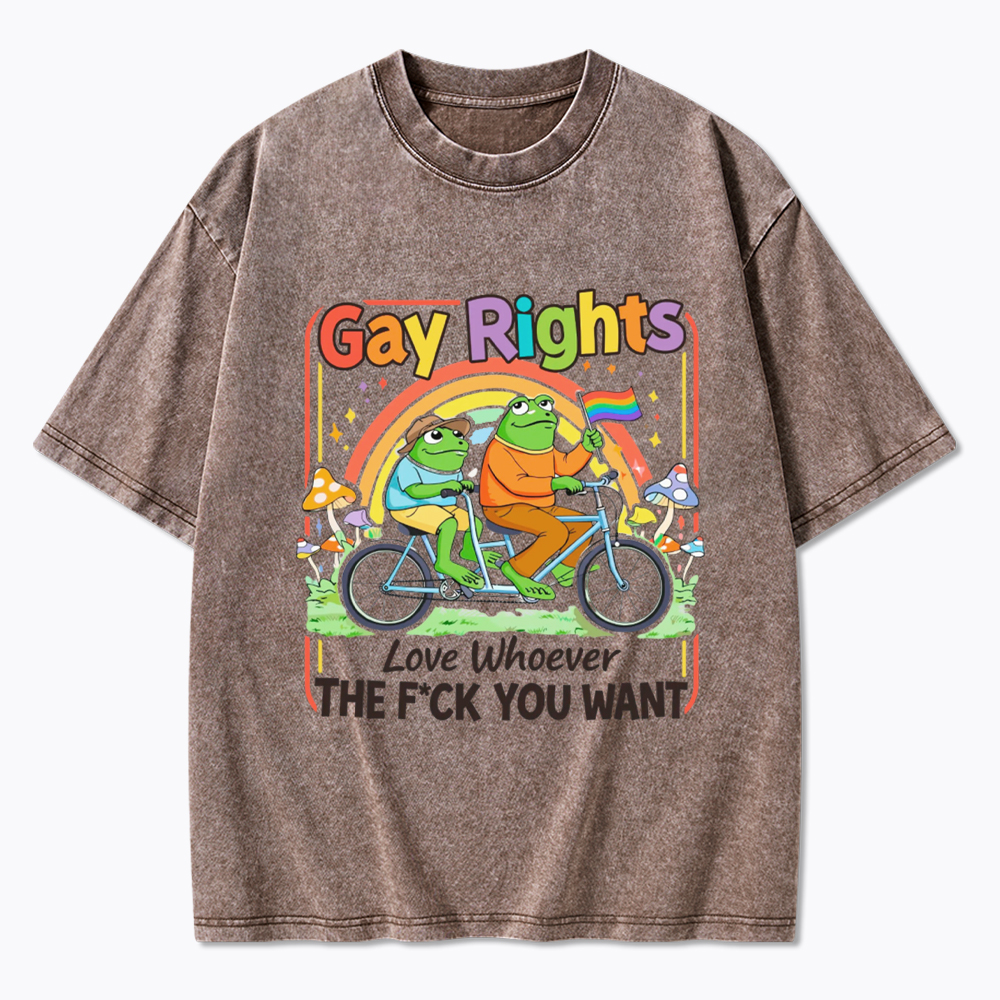 Frog Gay Rights Love Whoever You Want Washed T-Shirt