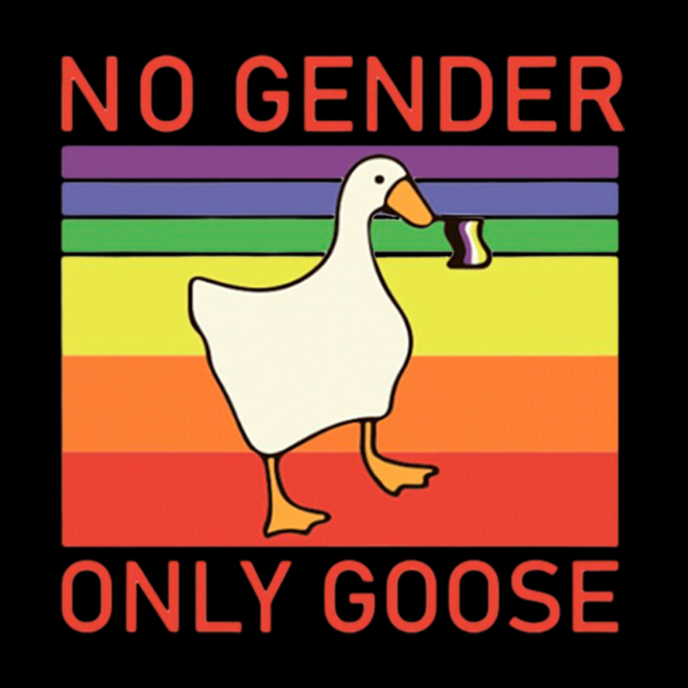 No Gender Only Goose Washed T-Shirt
