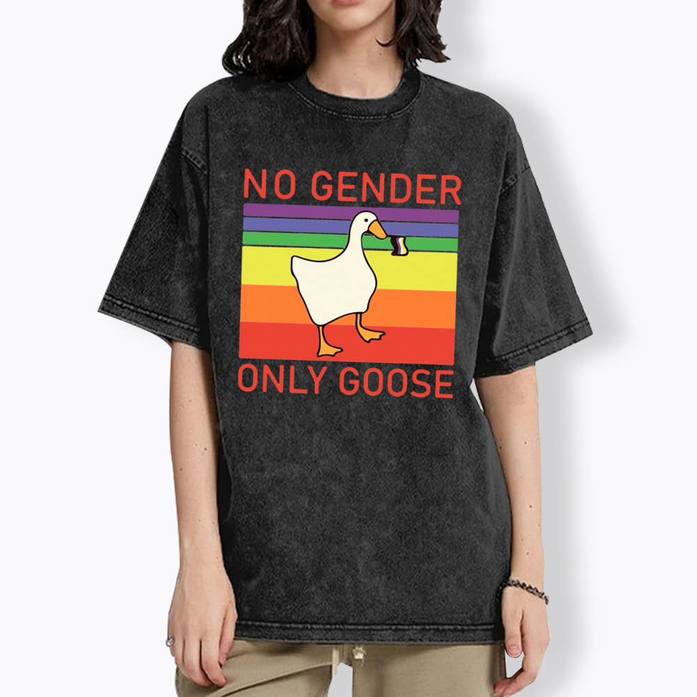 No Gender Only Goose Washed T-Shirt