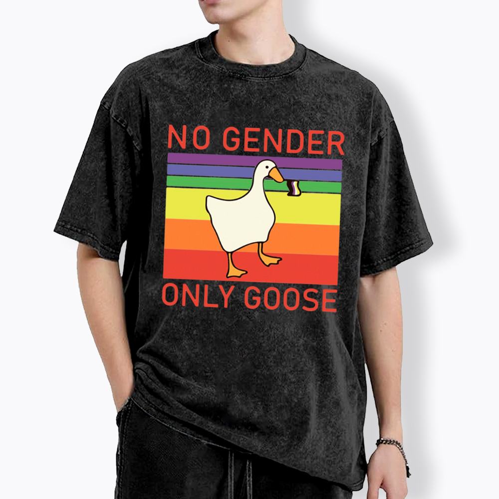 No Gender Only Goose Washed T-Shirt