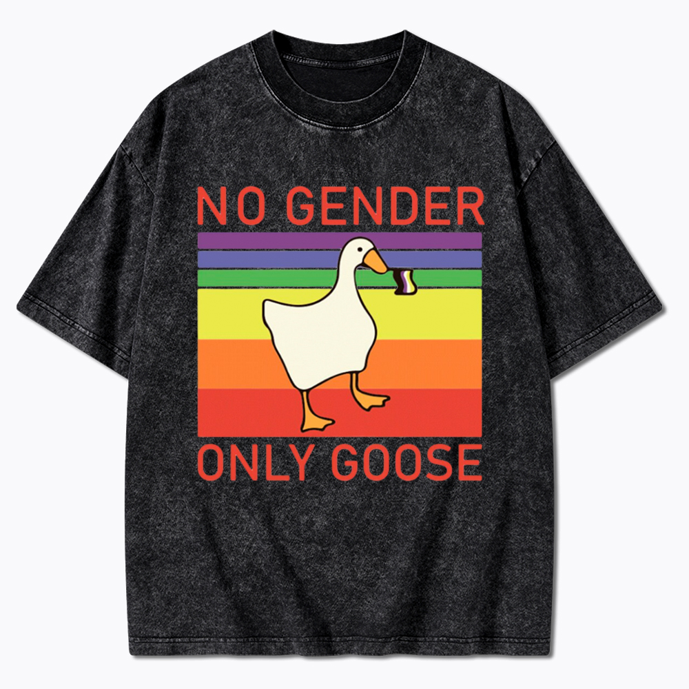 No Gender Only Goose Washed T-Shirt