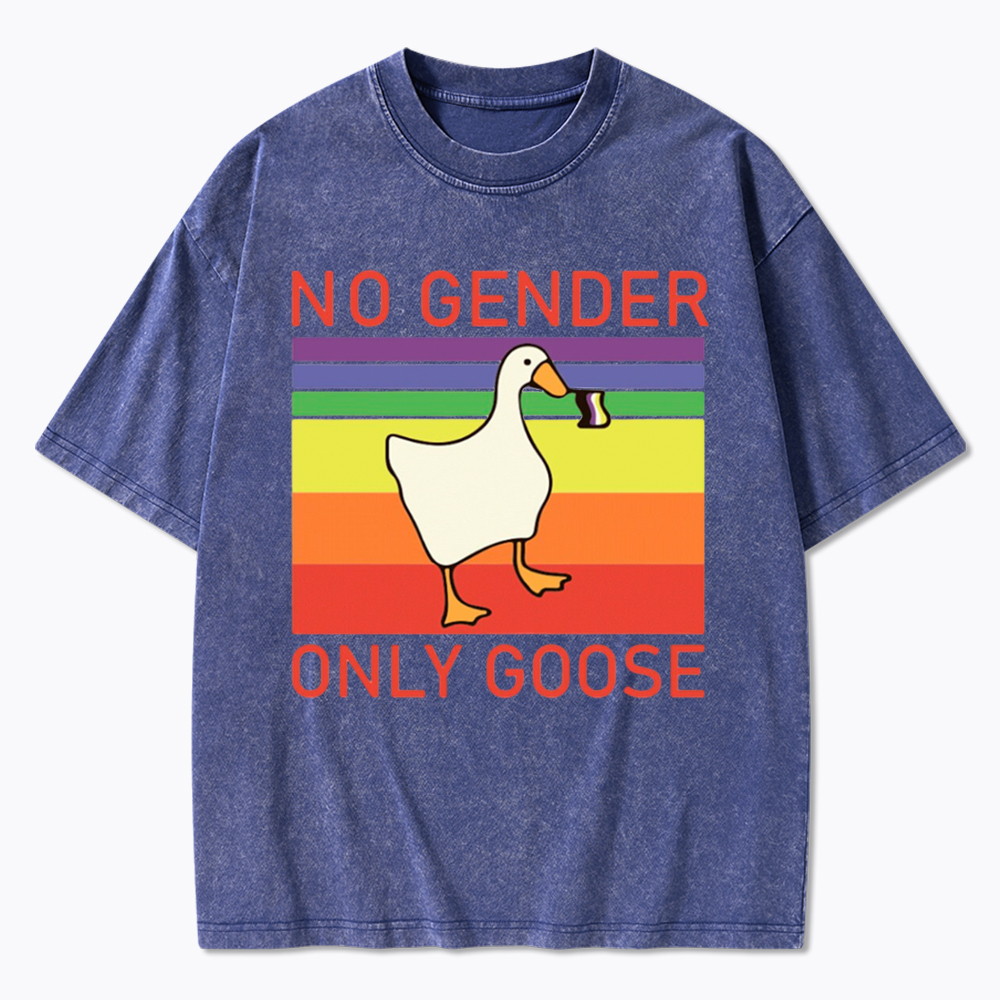 No Gender Only Goose Washed T-Shirt