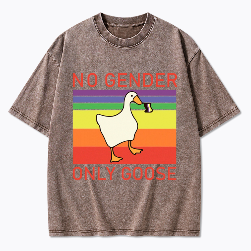 No Gender Only Goose Washed T-Shirt
