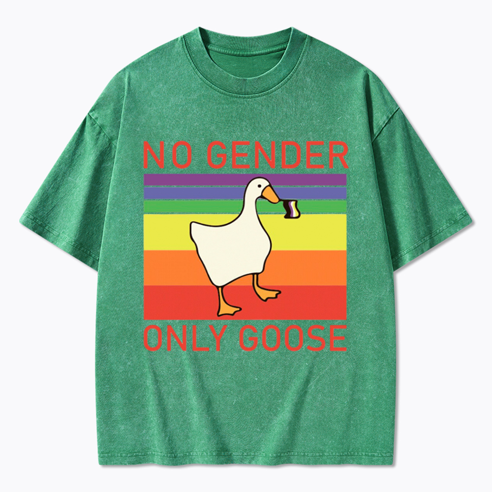 No Gender Only Goose Washed T-Shirt