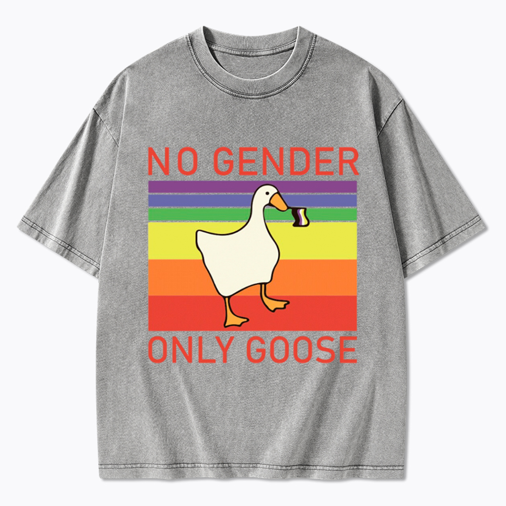 No Gender Only Goose Washed T-Shirt
