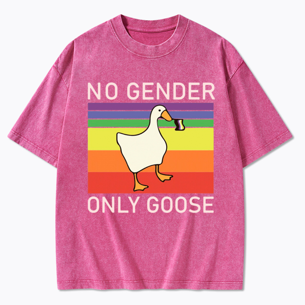 No Gender Only Goose Washed T-Shirt