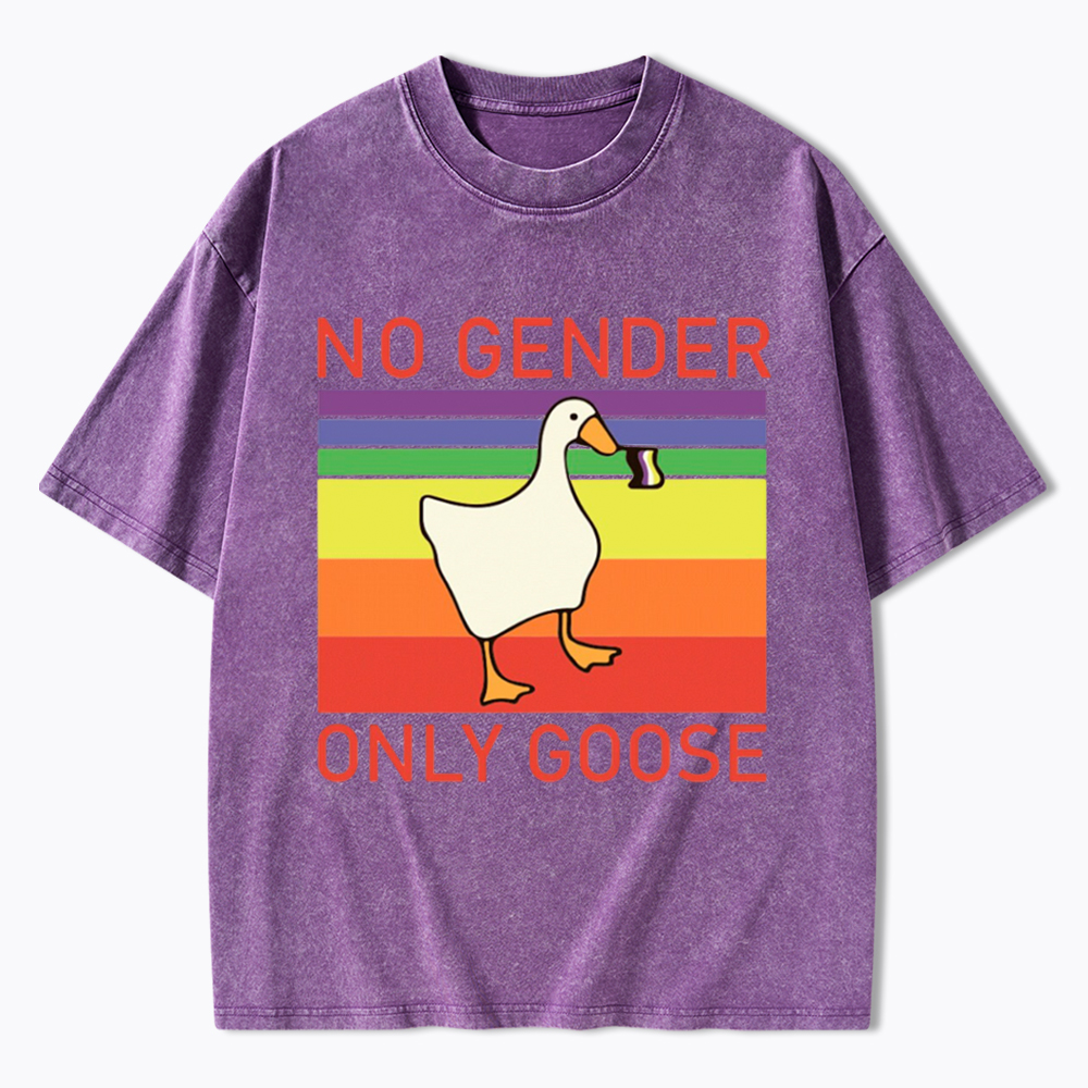 No Gender Only Goose Washed T-Shirt