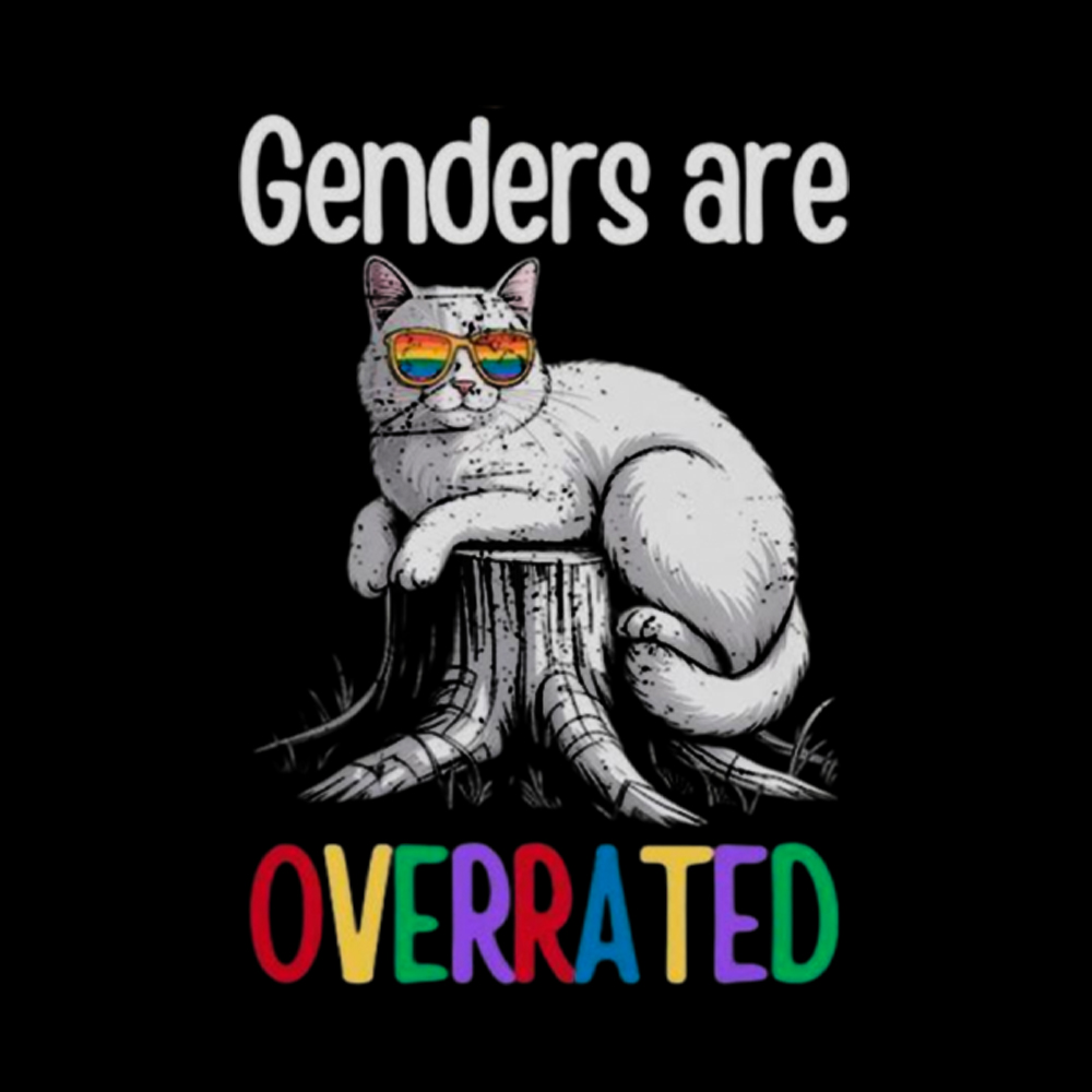 Genders Are Overrated Washed T-Shirt