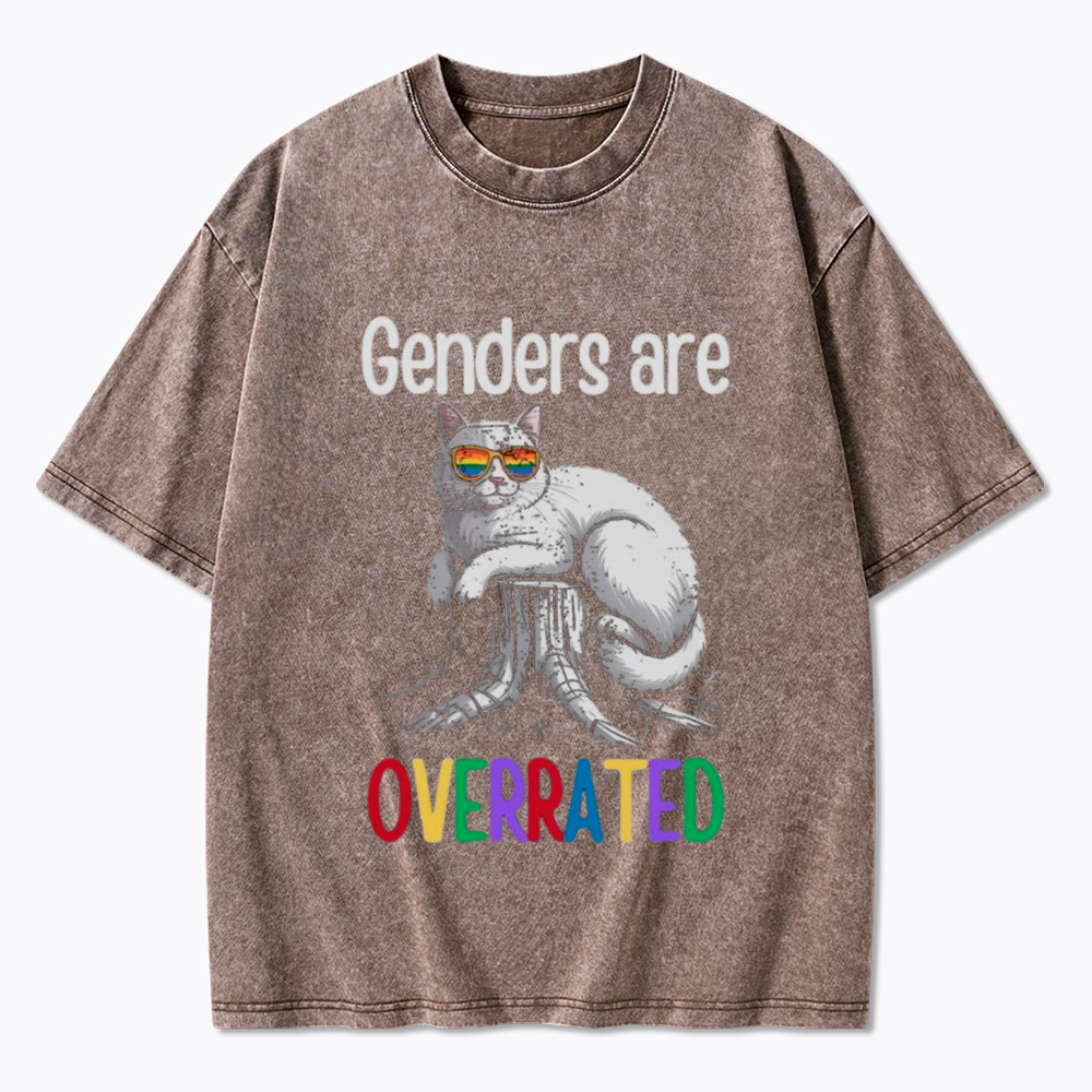 Genders Are Overrated Washed T-Shirt