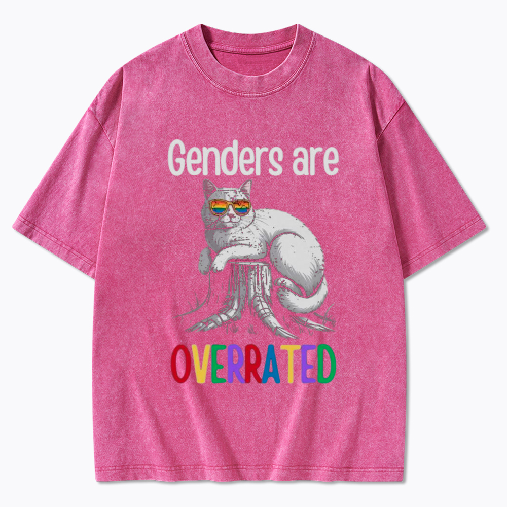 Genders Are Overrated Washed T-Shirt