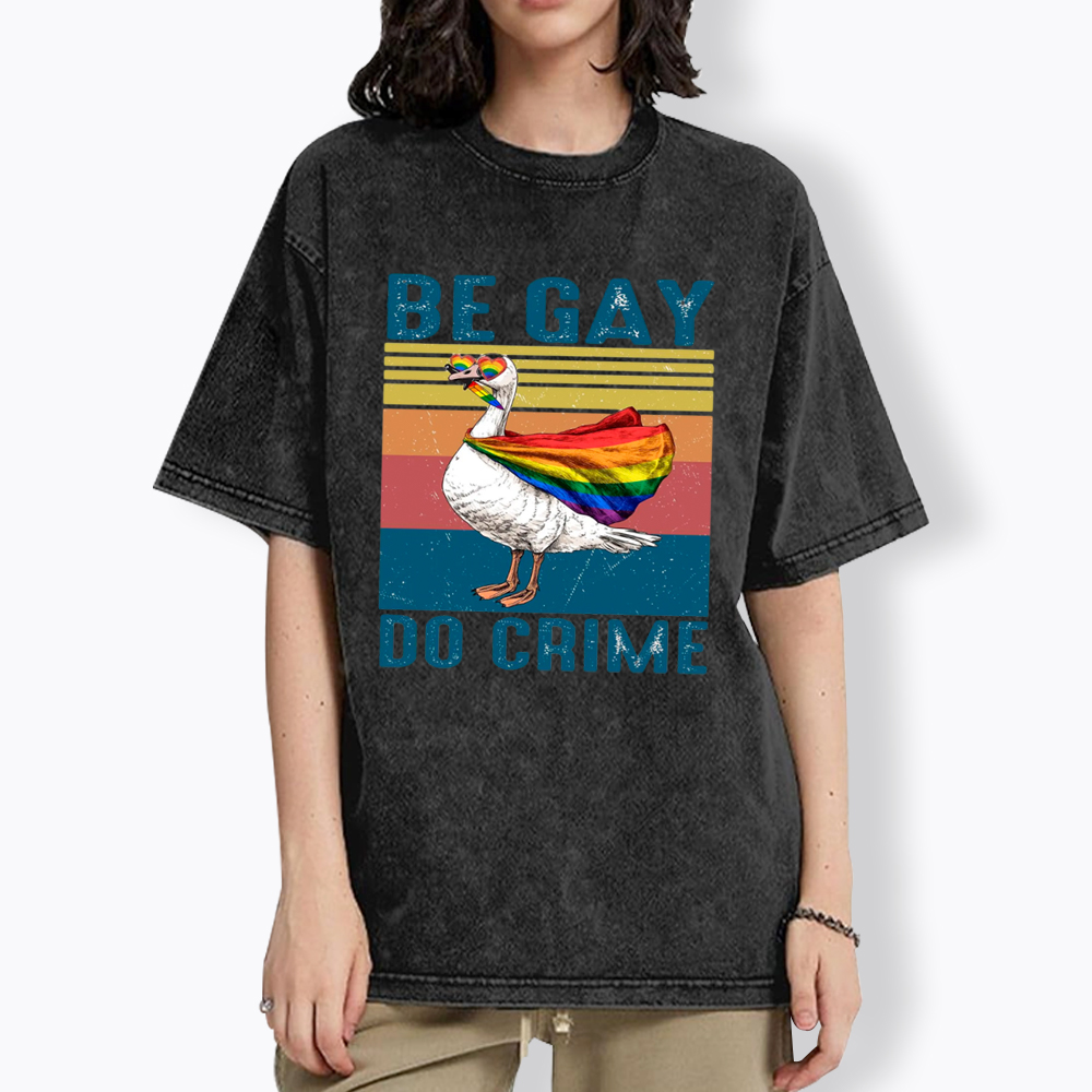 Be Gay Do Crime Goose Pride Washed T-Shirt