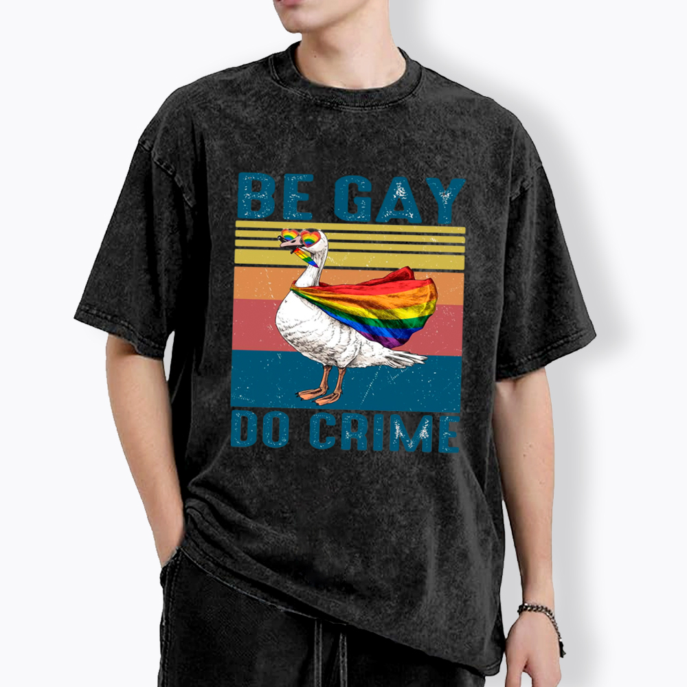 Be Gay Do Crime Goose Pride Washed T-Shirt