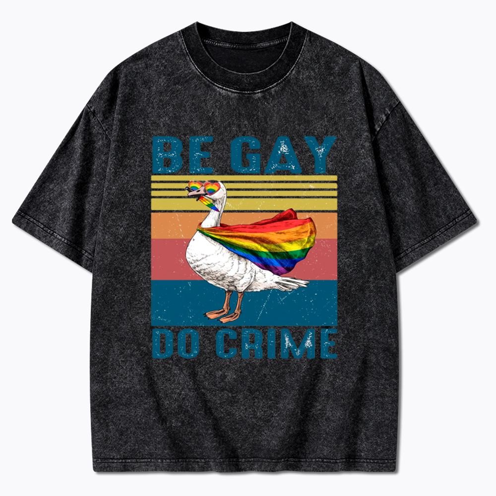 Be Gay Do Crime Goose Pride Washed T-Shirt