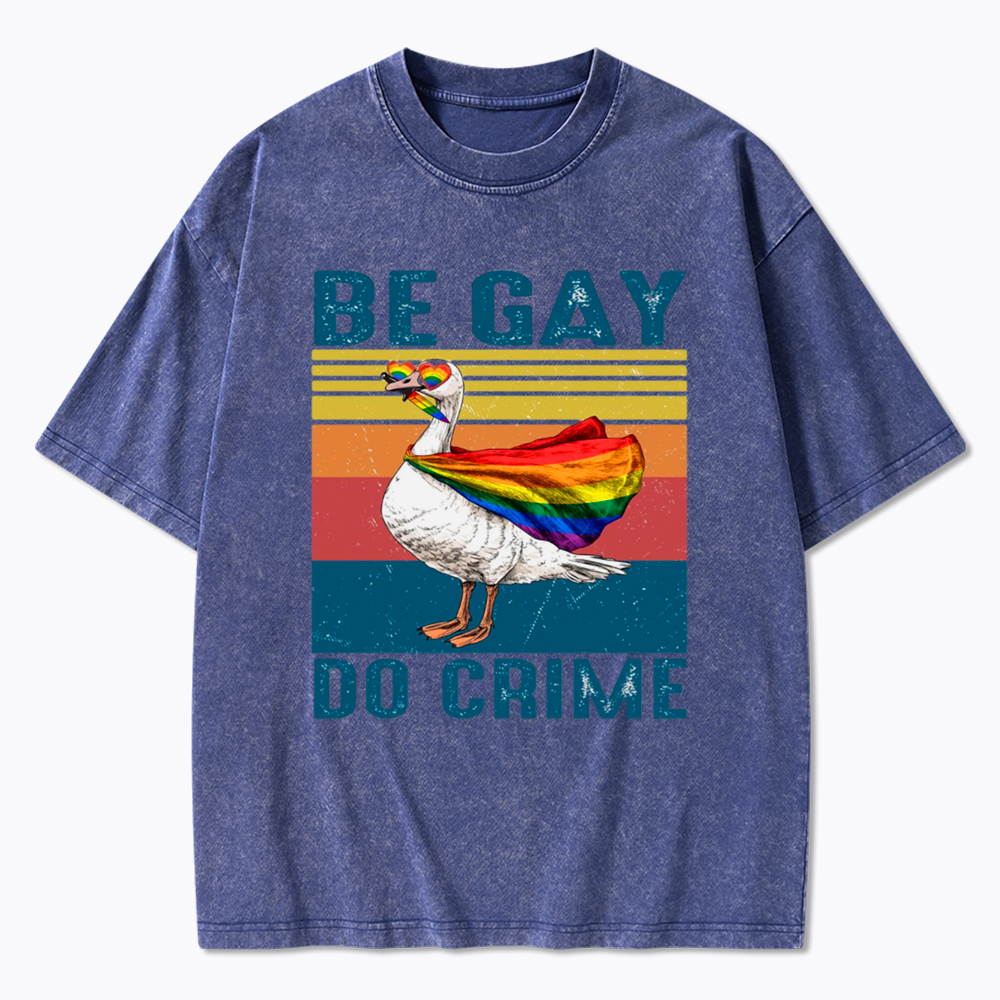 Be Gay Do Crime Goose Pride Washed T-Shirt