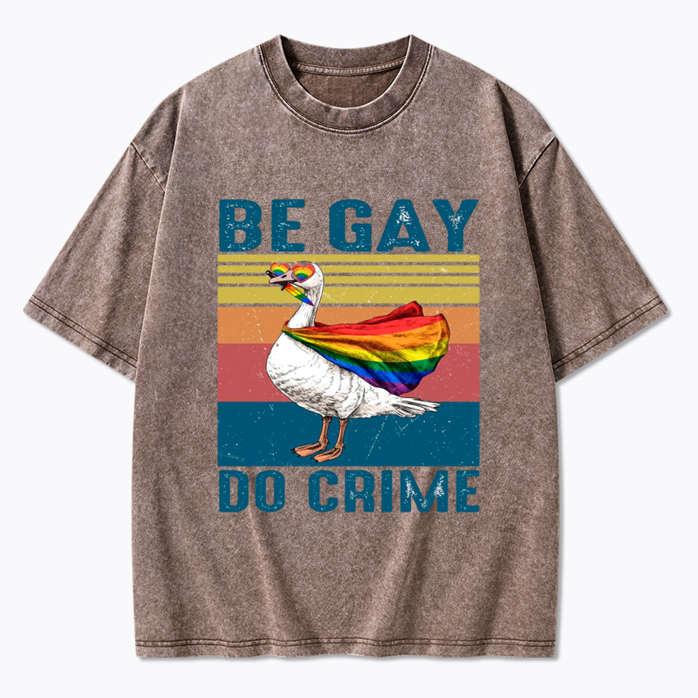 Be Gay Do Crime Goose Pride Washed T-Shirt
