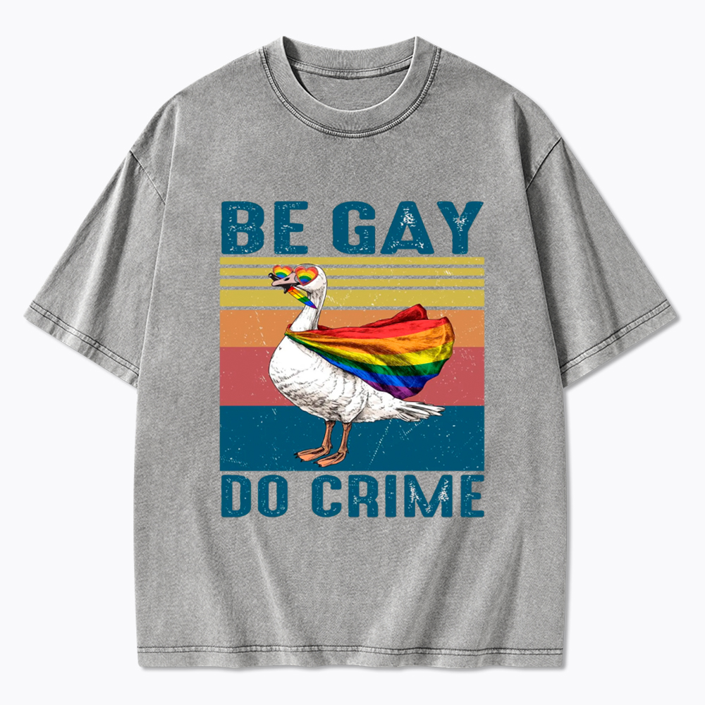 Be Gay Do Crime Goose Pride Washed T-Shirt
