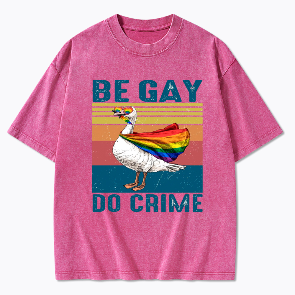 Be Gay Do Crime Goose Pride Washed T-Shirt