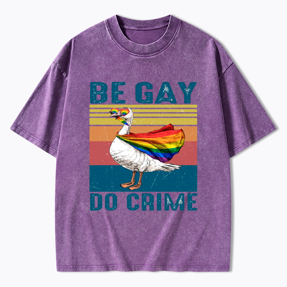 Be Gay Do Crime Goose Pride Washed T-Shirt