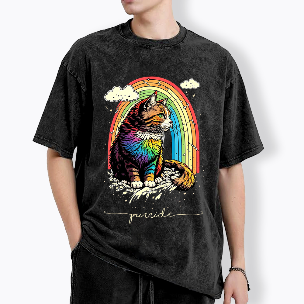 Cat Rainbow Washed T-Shirt