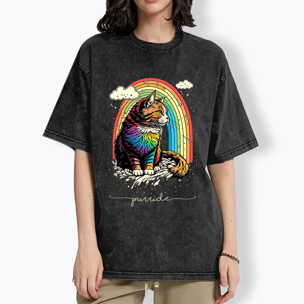 Cat Rainbow Washed T-Shirt