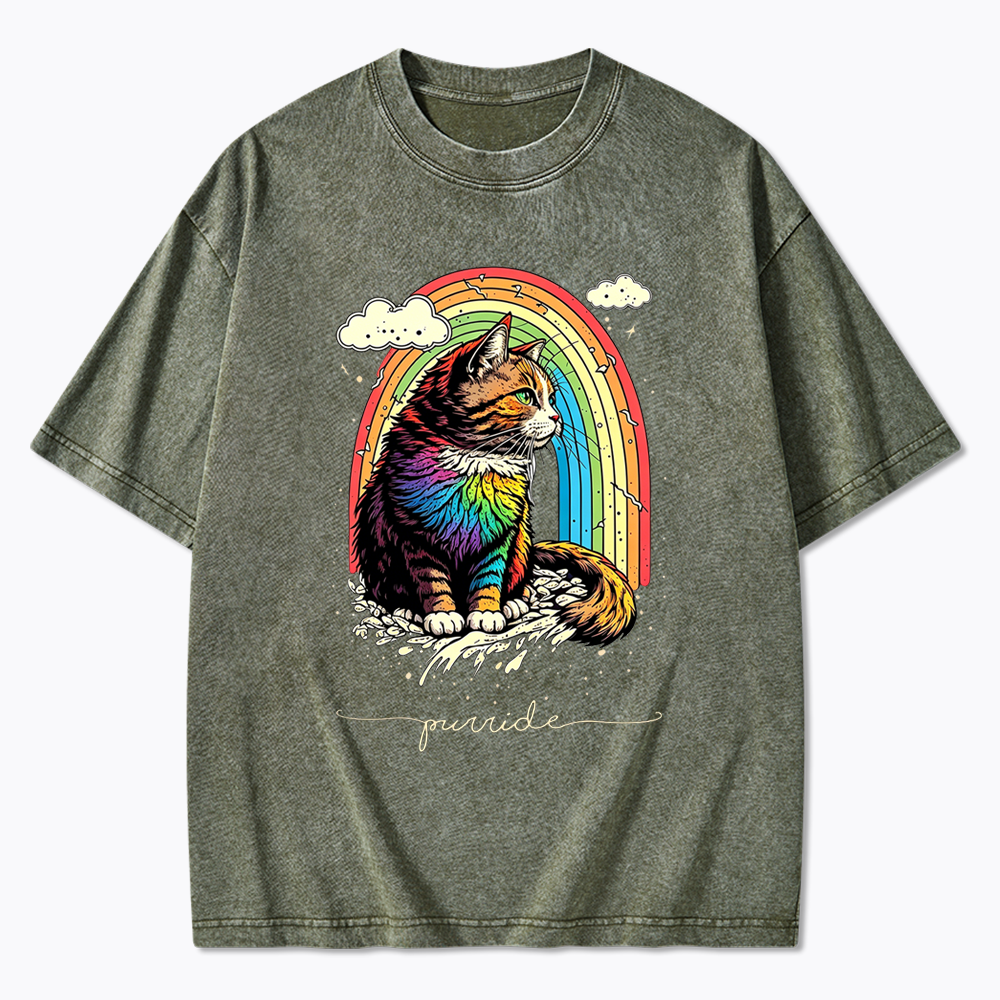 Cat Rainbow Washed T-Shirt