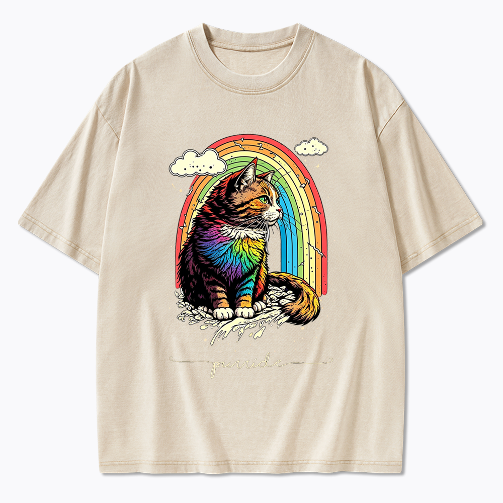 Cat Rainbow Washed T-Shirt