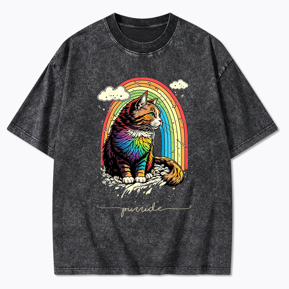Cat Rainbow Washed T-Shirt