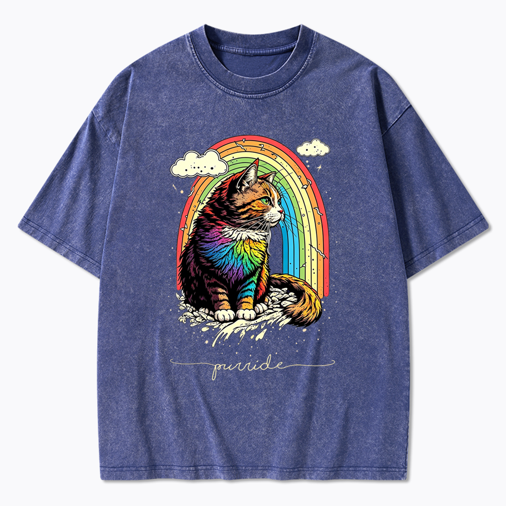 Cat Rainbow Washed T-Shirt